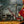 Cargar imagen en el visor de la galería, LCPQ - Programa Lean Construction Professional Qualification® - Online Pregrabado