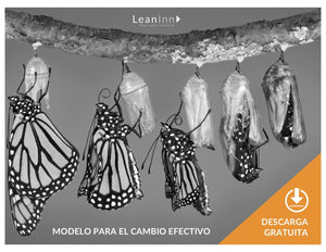 cambio efectivo en tu organizacion
